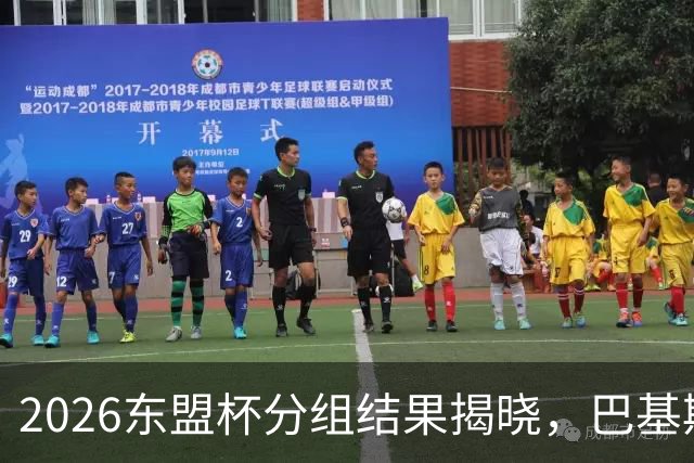 2026东盟杯分组结果揭晓，巴基斯坦成为中国的替代队伍